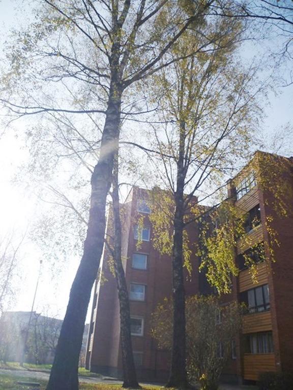 Saulys1 Leilighet Druskininkai Rom bilde